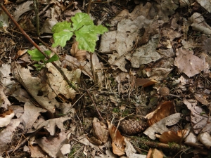 Yet Another Outdoor Blog