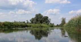 Halbtagestour im Oderbruch